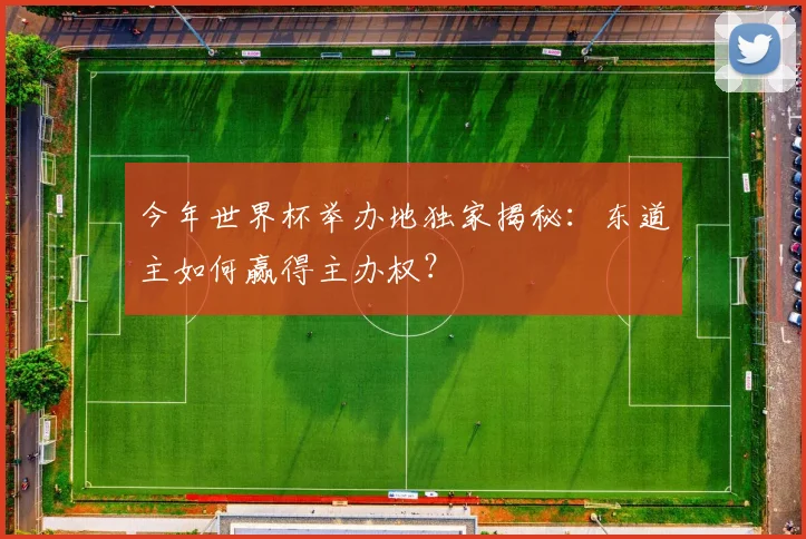今年世界杯举办地独家揭秘：东道主如何赢得主办权？
