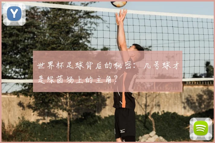 世界杯足球背后的秘密：几号球才是绿茵场上的主角？