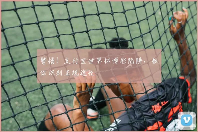 警惕！支付宝世界杯博彩陷阱，教你识别正规途径